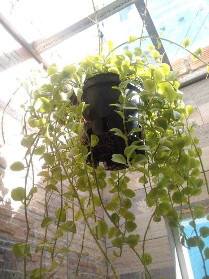 Ha Tien Homestay Экстерьер фото